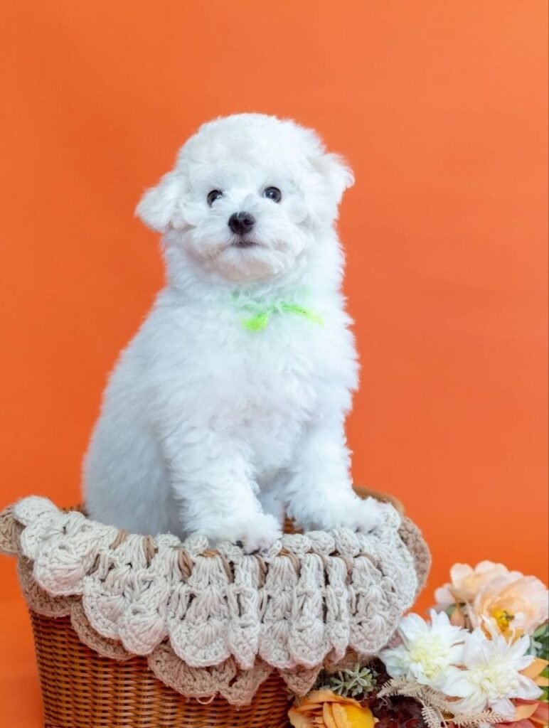 photo_2025-11-10_18-40-46