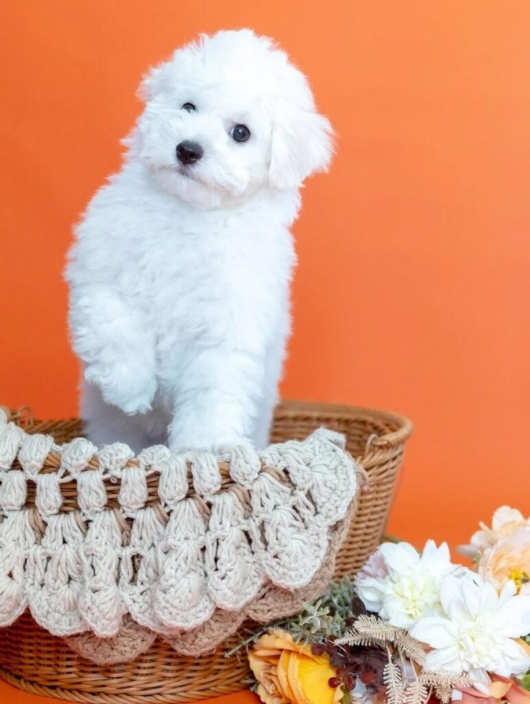 photo_2025-11-10_18-40-47 (2)