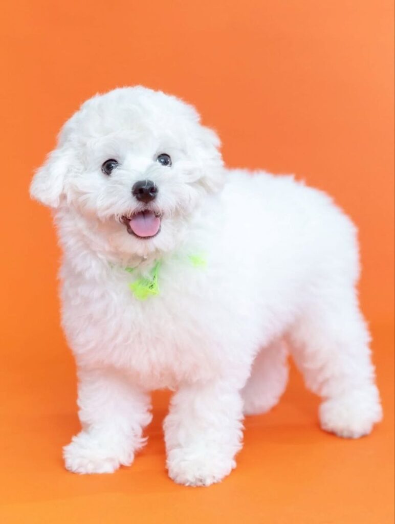 photo_2025-11-10_18-40-47