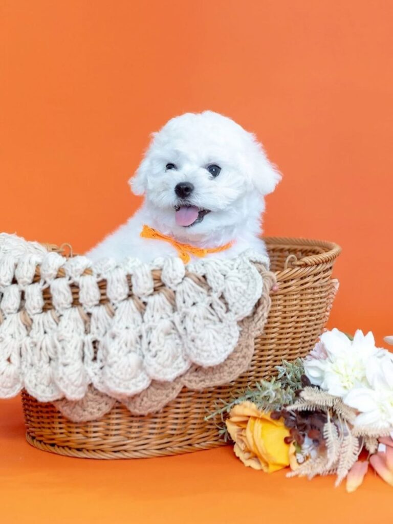 photo_2025-11-10_18-41-51