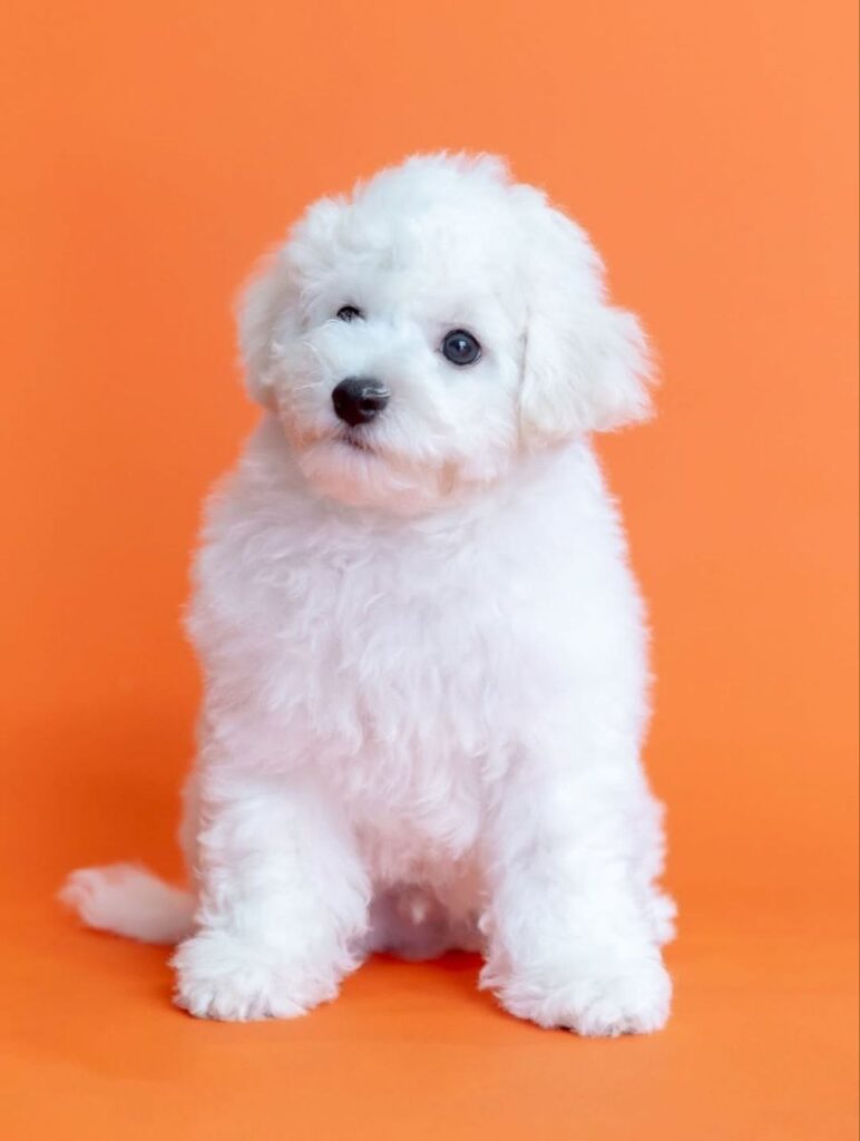 photo_2025-11-10_18-41-53 (2)