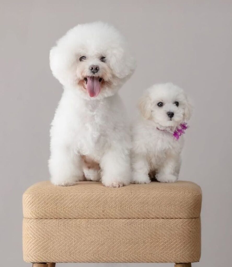 photo_2025-11-10_18-47-15