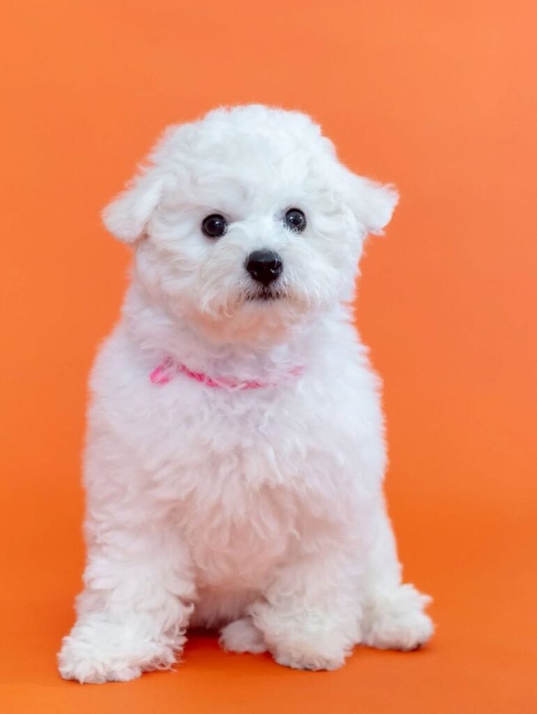 photo_2025-11-10_18-47-16 (2)