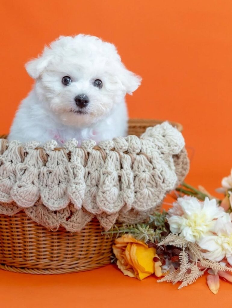 photo_2025-11-10_18-47-16