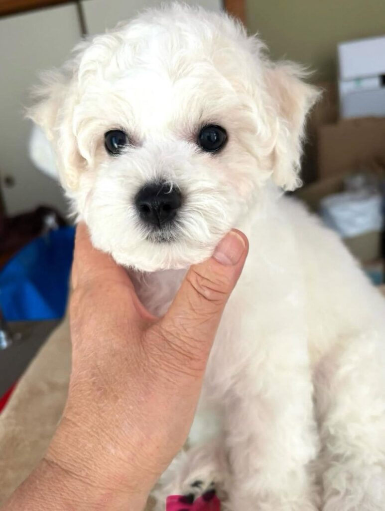 photo_2025-11-10_18-51-30