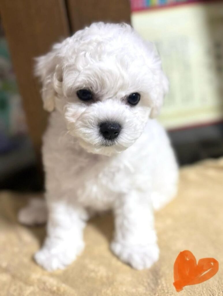 photo_2025-11-10_18-51-31