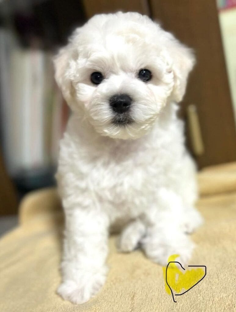 photo_2025-11-10_18-53-02 (2)