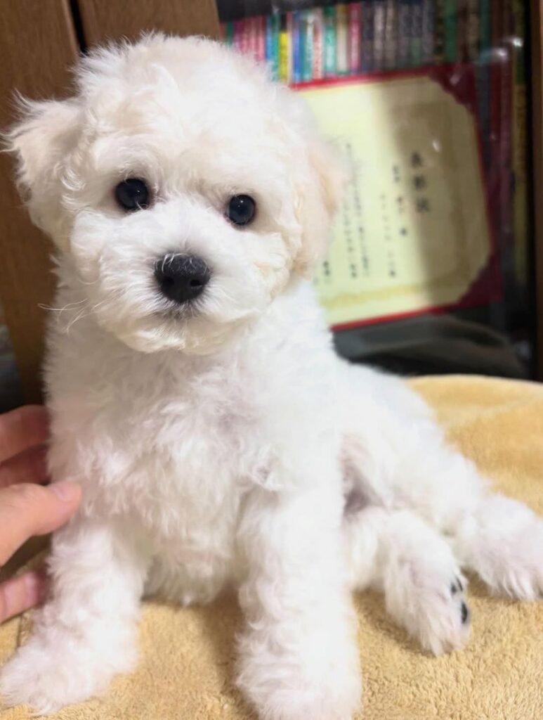 photo_2025-11-10_18-53-02