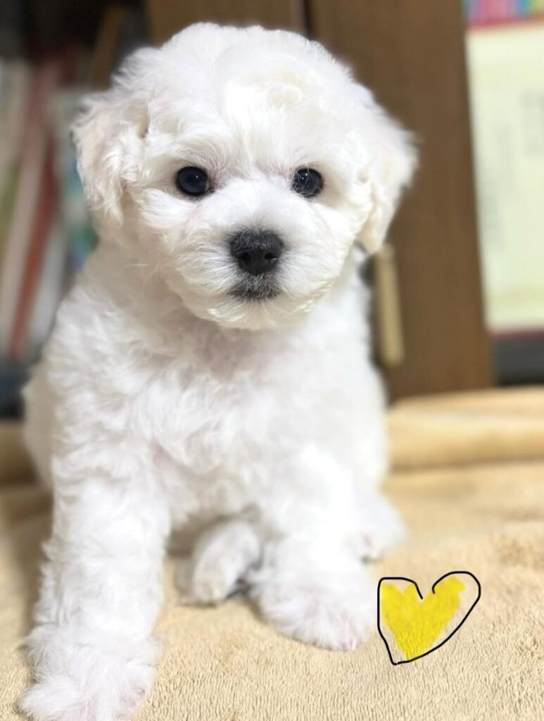 photo_2025-11-10_18-53-03